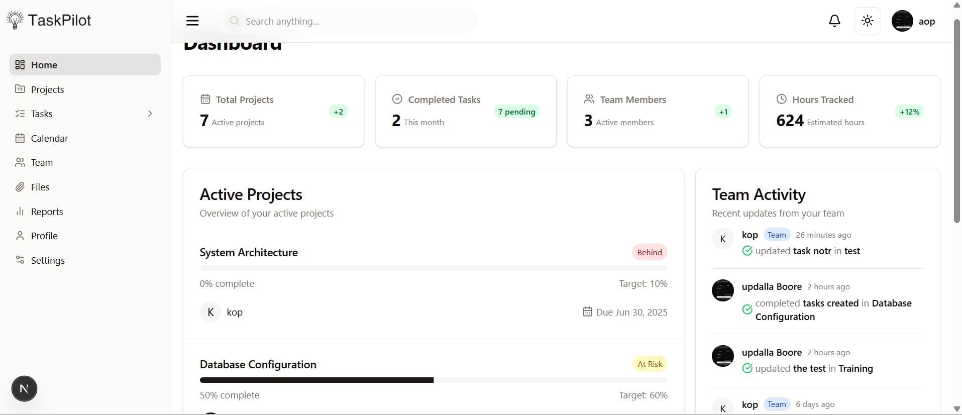 SaaS Project Management screenshot 1